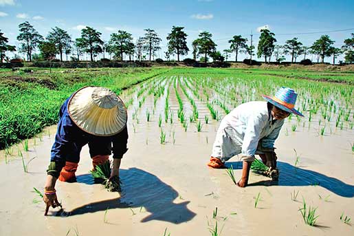 Discover Sukhothai